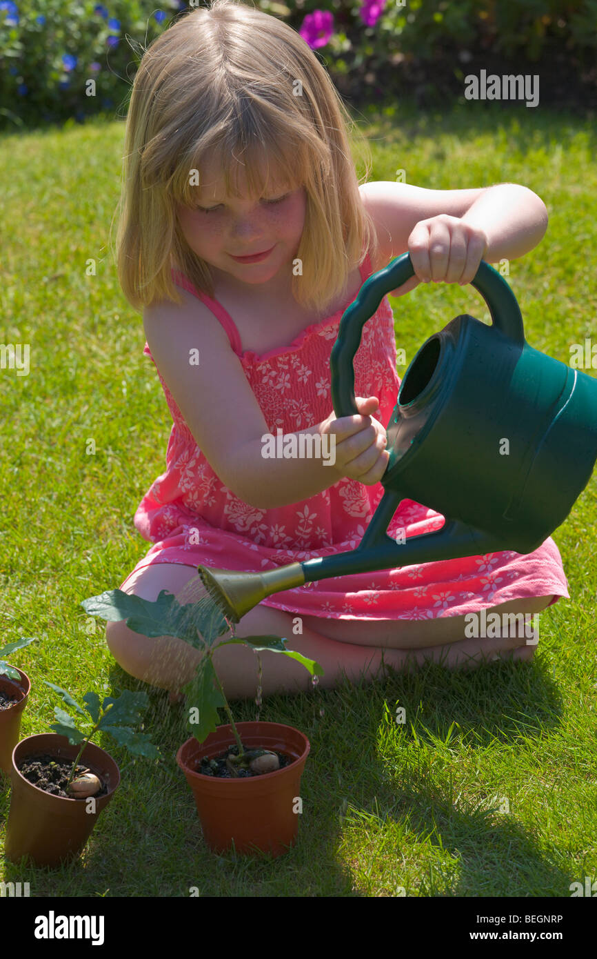 Junges Mädchen Bewässerung eine junge Eichen Stockfoto
