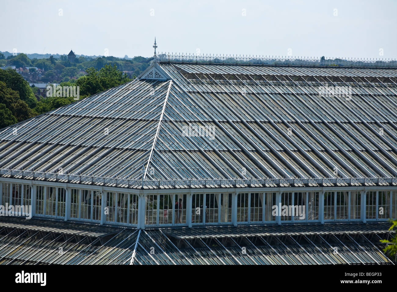 Gemäßigten Haus königliche botanische Gradens Kew Stockfoto