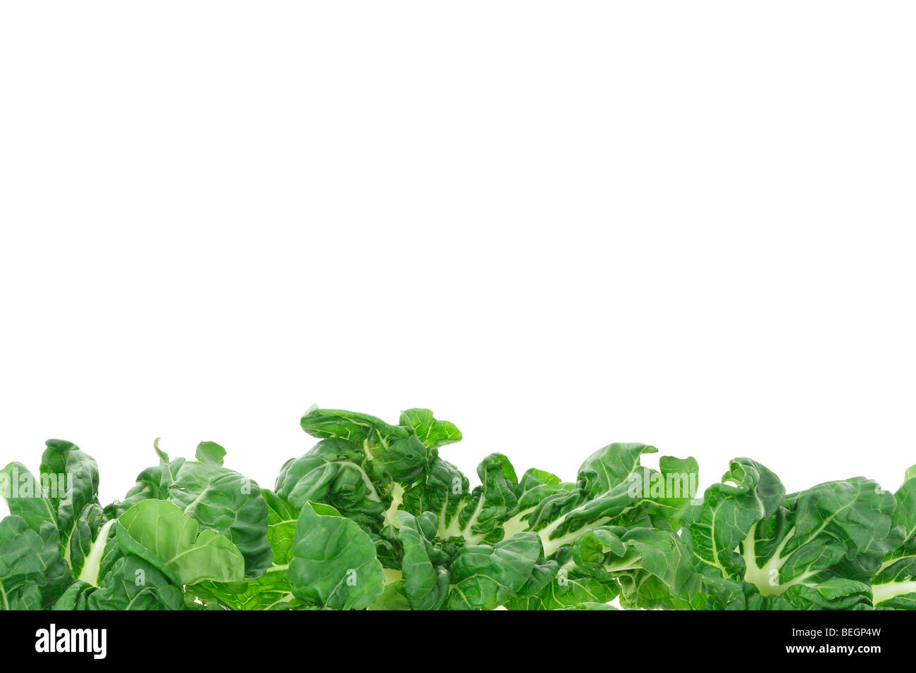 Grüne Gemüse Grenze Hintergrund mit Textfreiraum Stockfoto