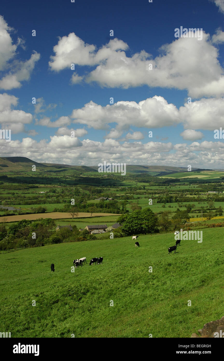 Zerspanung in Ribble Valley, Lancashire Stockfoto