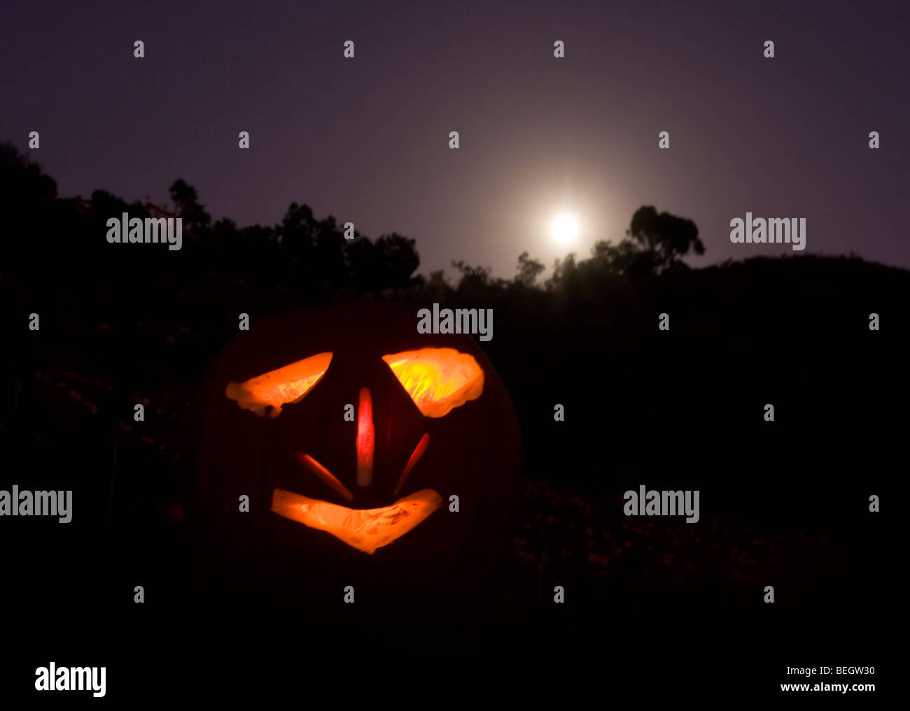 Halloween Jack-o-Laterne Stockfoto
