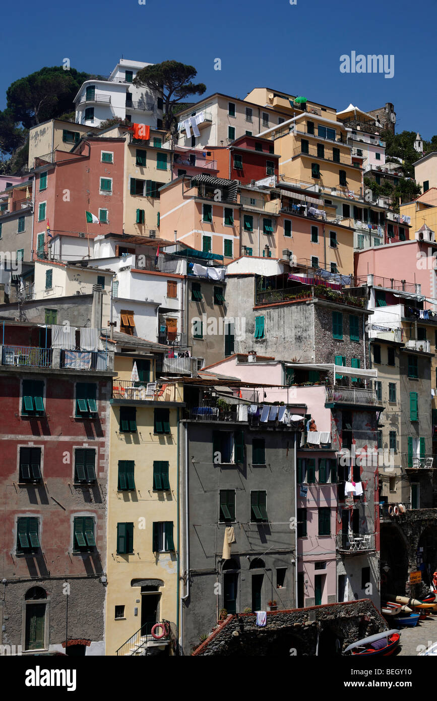 Bunte Häuser in Riomaggiore in der Region Cinque Terre an der italienischen Riviera oder Riviera di Levanto Stockfoto