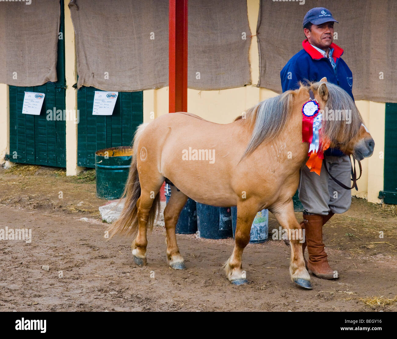 Teilnehmer in der Börsenauftragsübersicht Ausstellung "Expo Prado" in Montevideo Stockfoto