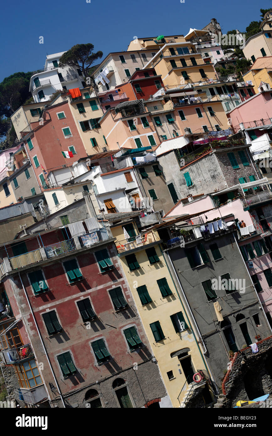 Bunte Häuser in Riomaggiore in der Region Cinque Terre an der italienischen Riviera oder Riviera di Levanto Stockfoto
