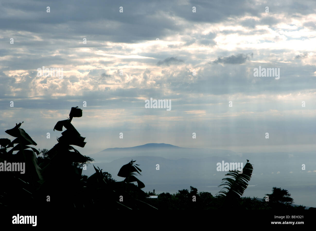 Berge des Mondes, Ruwenzori-Gebirge, West-Uganda, Afrika Stockfoto