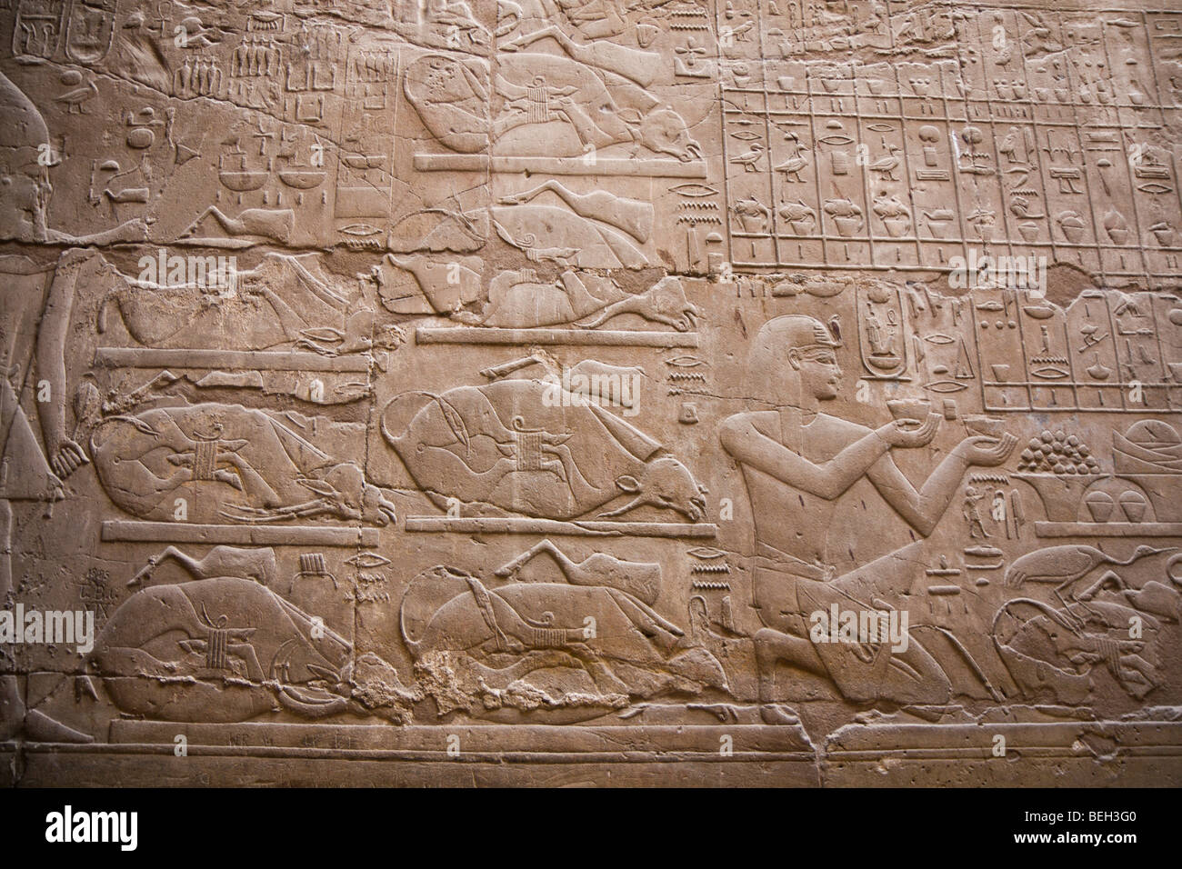 Wandreliefs im Luxor-Tempel, Luxor, Ägypten Stockfoto