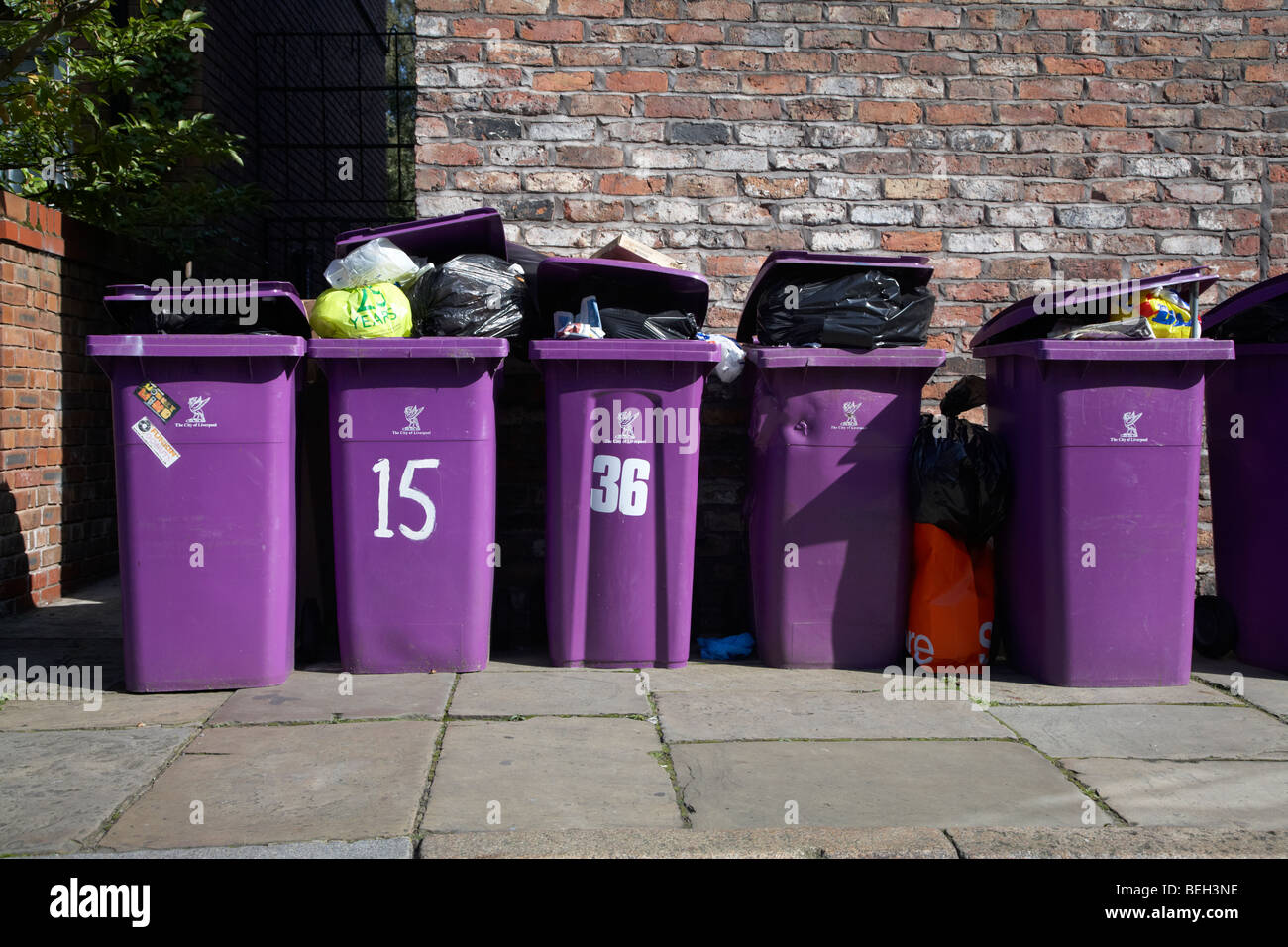 lila Stadt von Liverpool Abfall-Behälter in Folge vor einem Backsteinhaus in liverpool Stockfoto