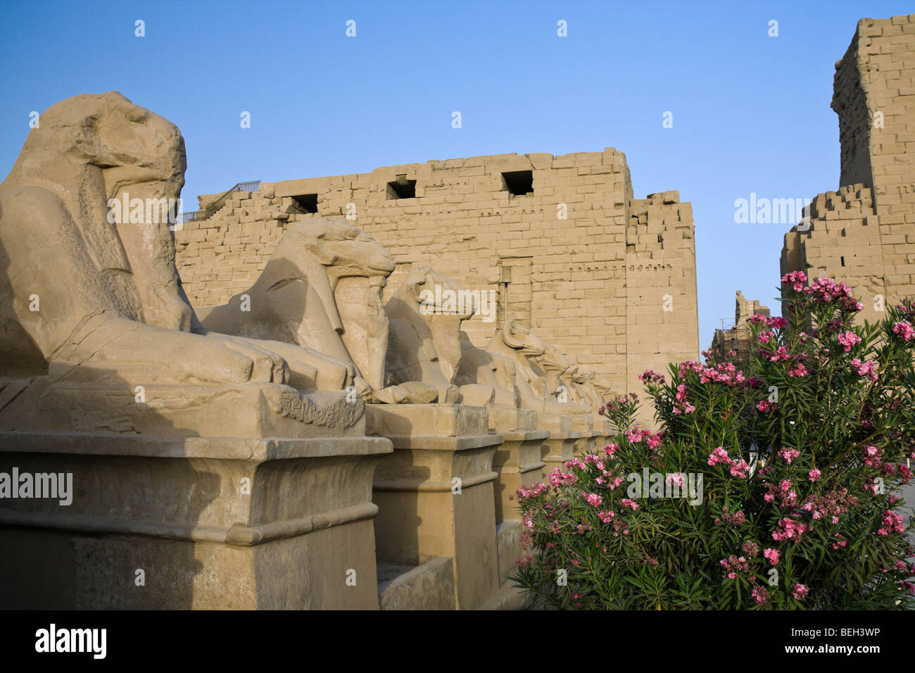 Karnak-Tempel mit Allee von Ram Sphinxen, Luxor, Ägypten Stockfoto