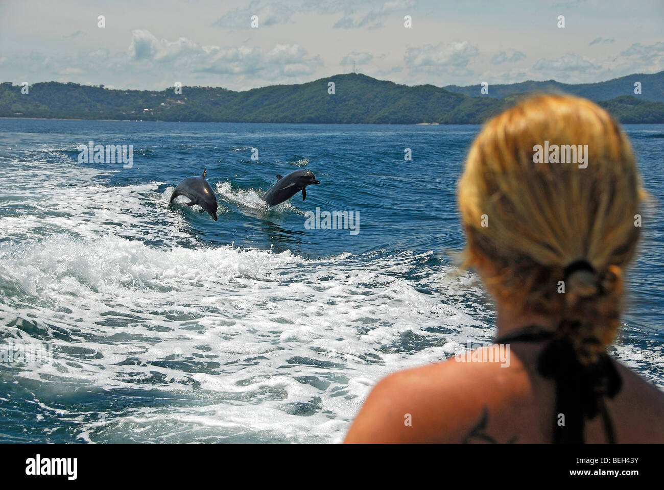 Delphine beobachten, Stenella Longirostris, Playas del Coco, costarica Stockfoto
