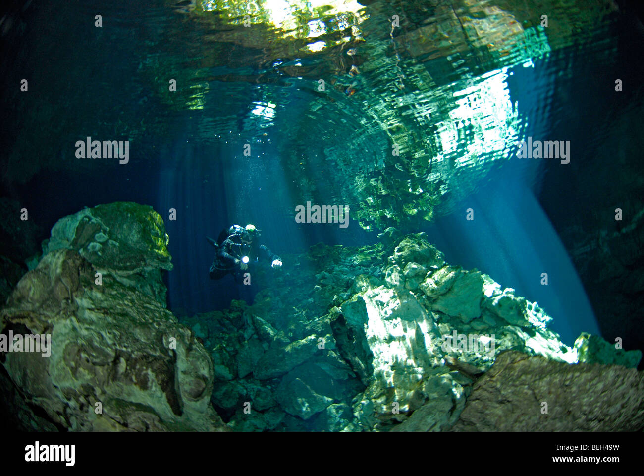 Tauchen in Tajmahal Cenote, Tulum, Halbinsel Yucatan, Mexiko Stockfoto