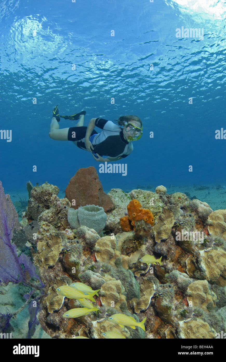 Touristischen Schnorcheln über Korallenriff, Cozumel, Karibik, Mexiko Stockfoto