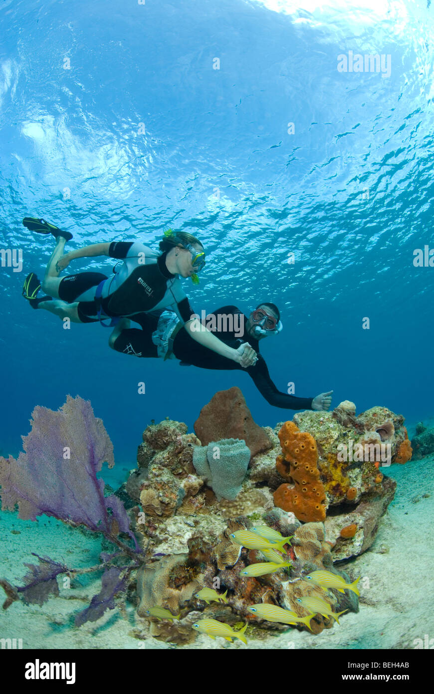 Touristen, die Schnorcheln über Korallenriff, Cozumel, Karibik, Mexiko Stockfoto