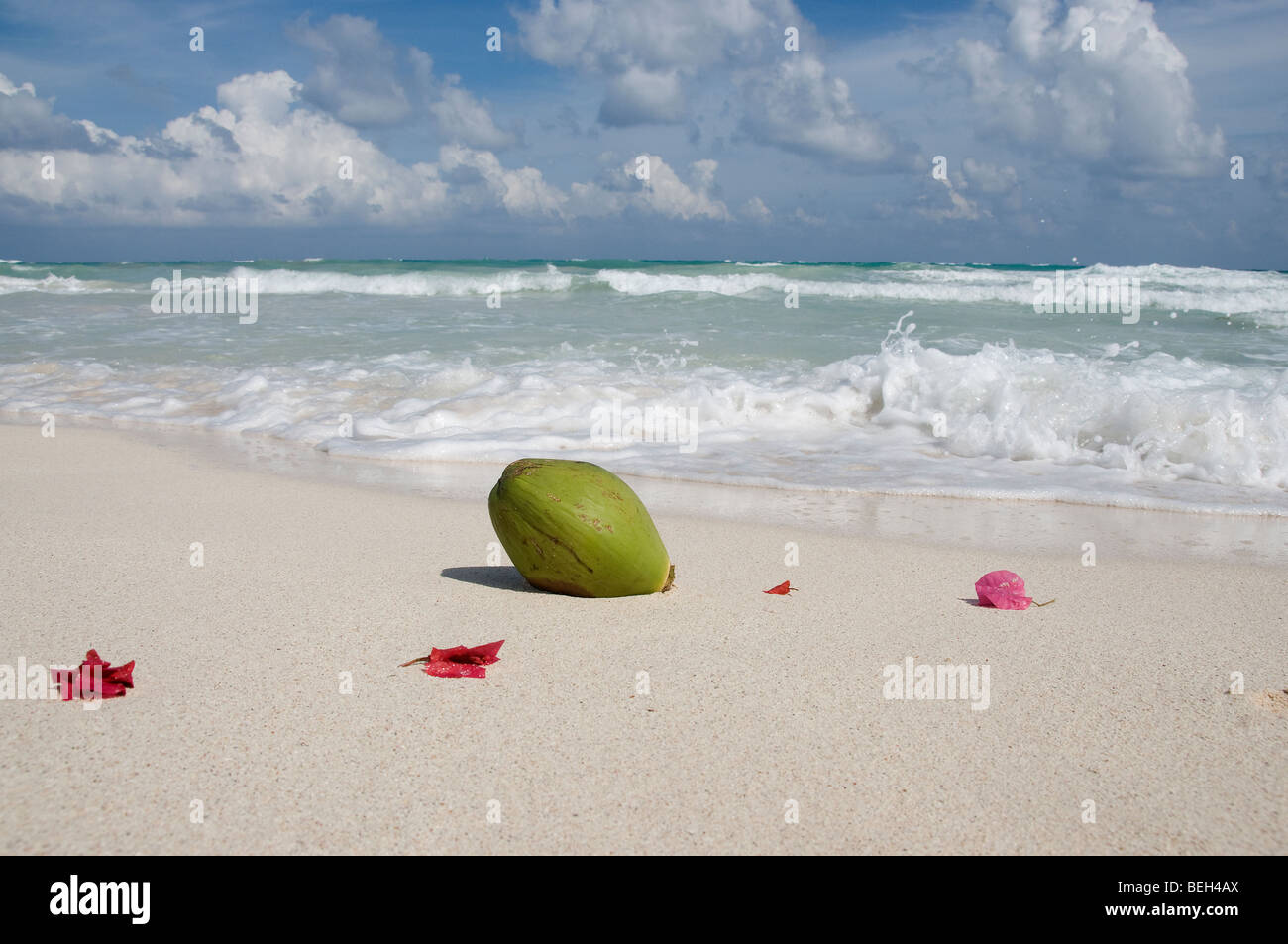 Strand-Landschaft in Tulum, Tulum, Halbinsel Yucatan, Mexiko Stockfoto