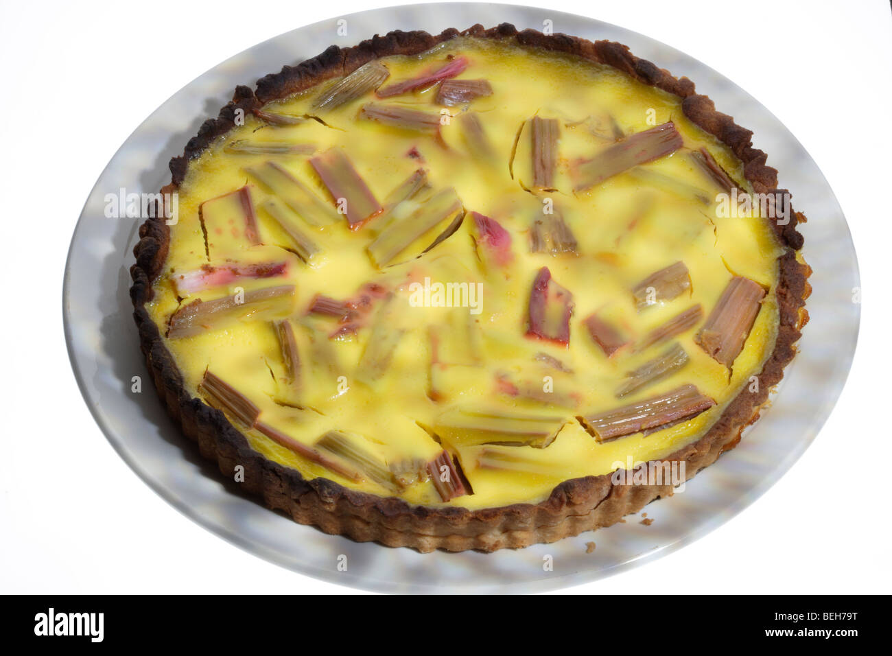 Rhabarber-Tarte Stockfoto