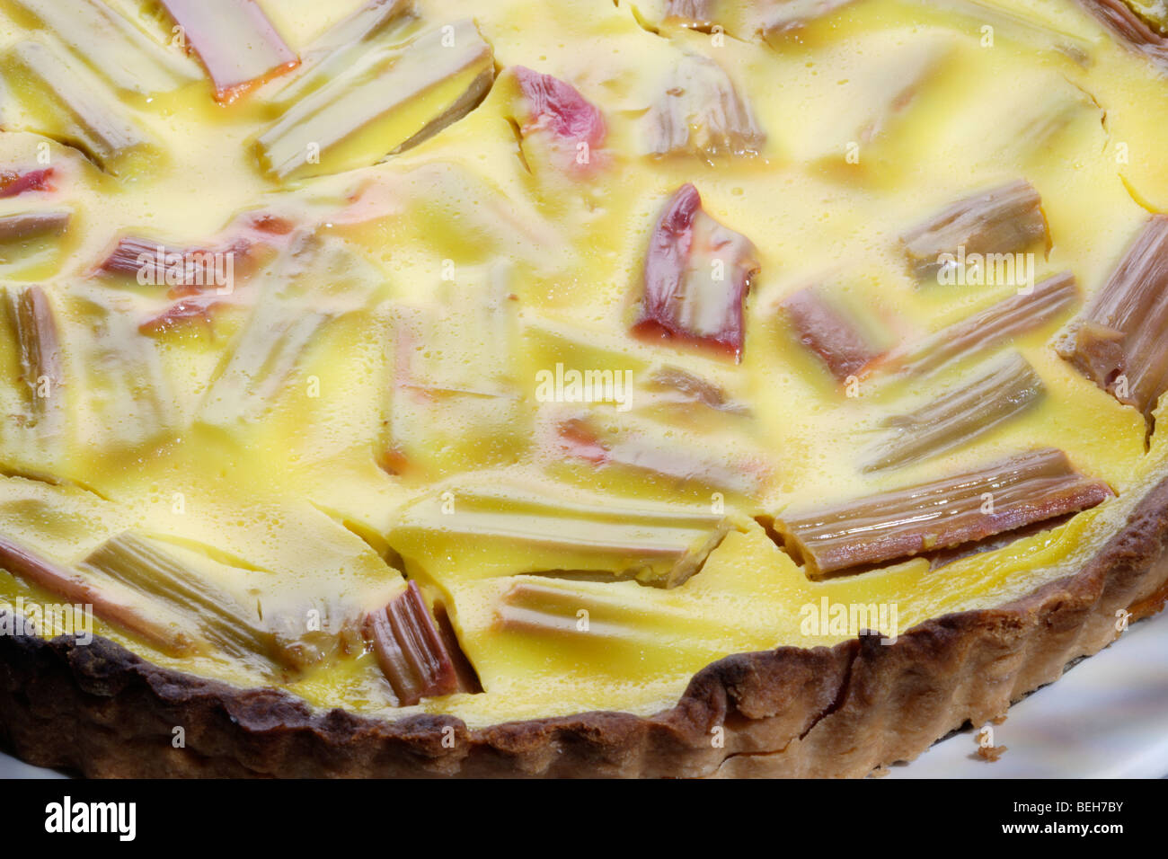 Rhabarber-Tarte Stockfoto