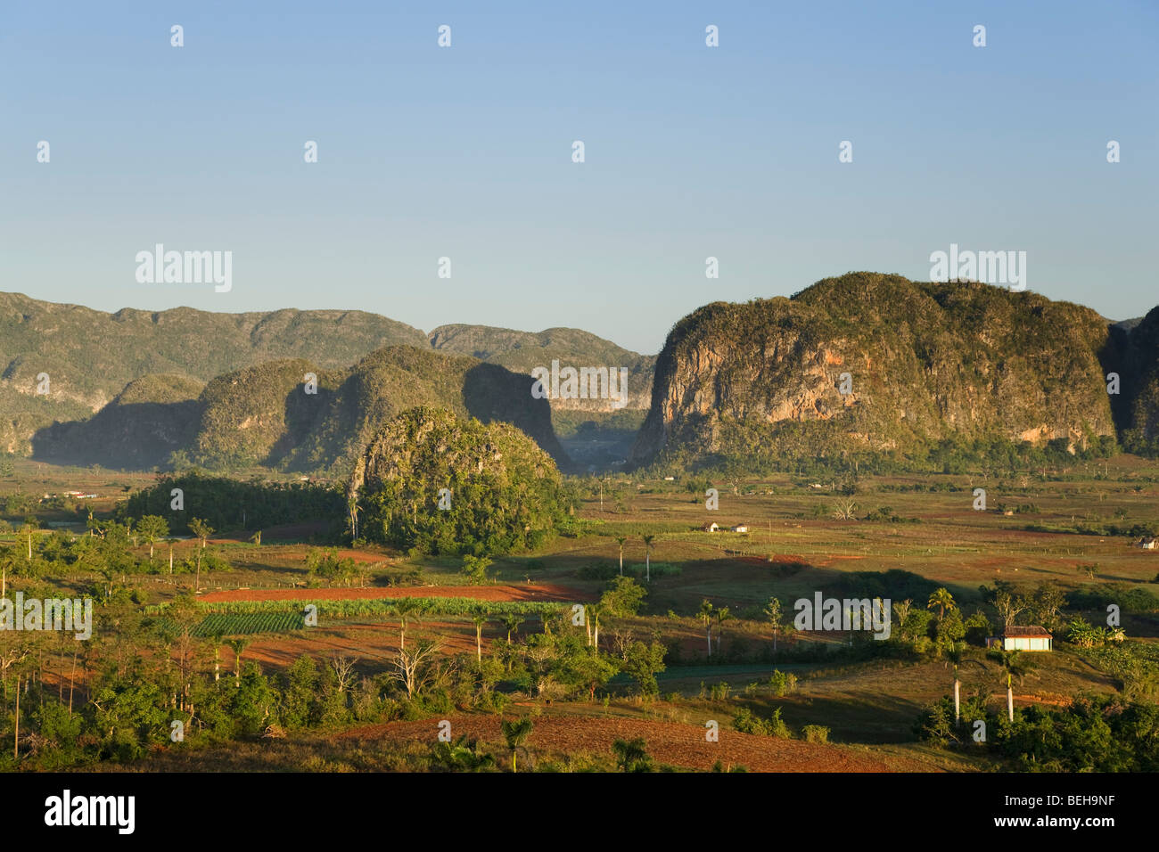 Mogotes, Parque National Vinales, Vinales, Pinar Del Rio, Kuba, Westindische Inseln Stockfoto