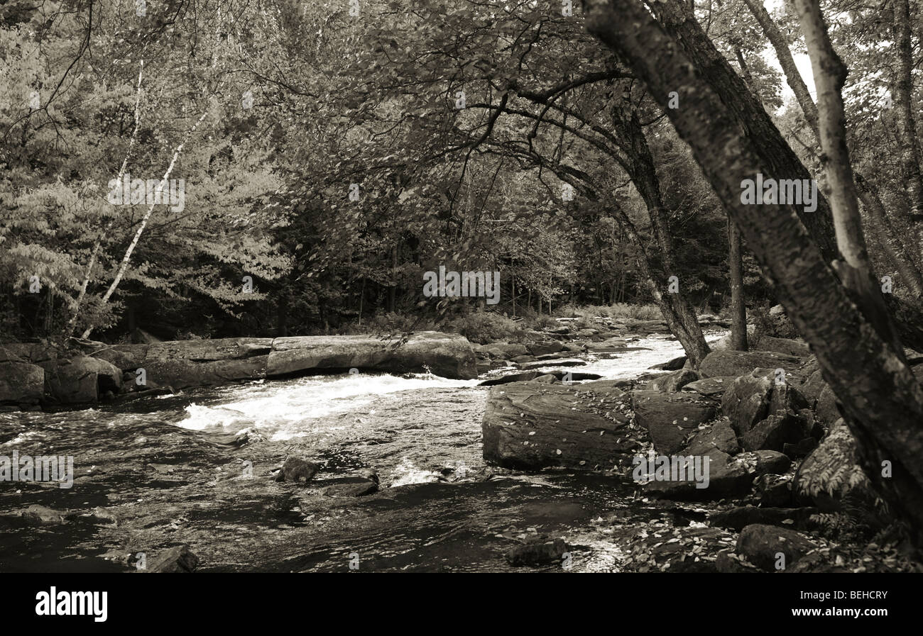 Habichtsbitterkraut Stromschnellen. Schöne Panorama Herbst Natur Landschaft. Algonquin, Muskoka, Ontario, Kanada. Stockfoto