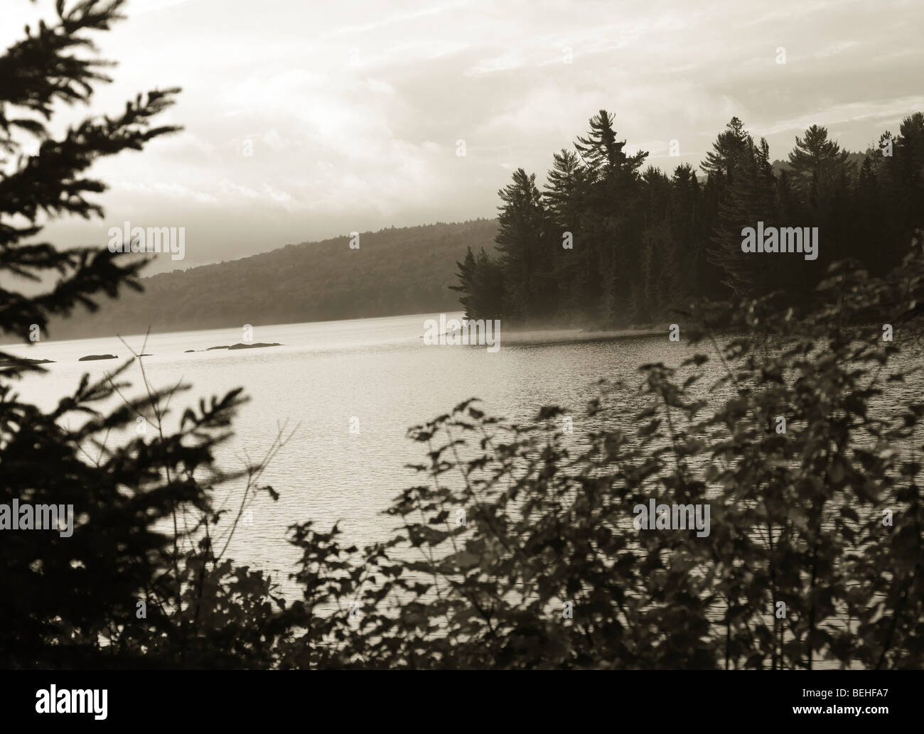 Der See der zwei Flüsse im Morgengrauen Panorama. Algonquin Provincial Park, Ontario, Kanada. Stockfoto