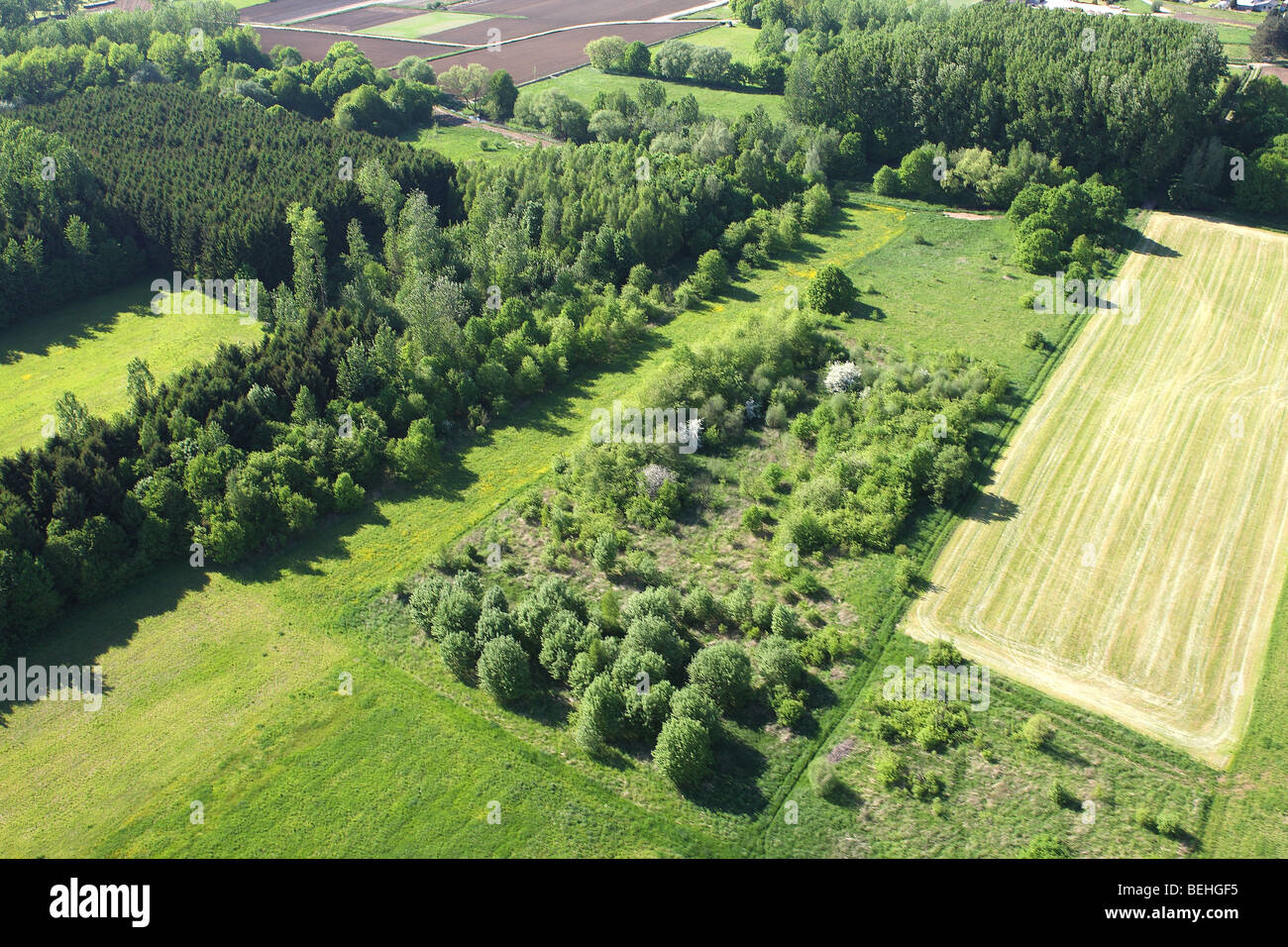 Wald- und Wiesengebiete aus der Luft, Belgien Stockfoto