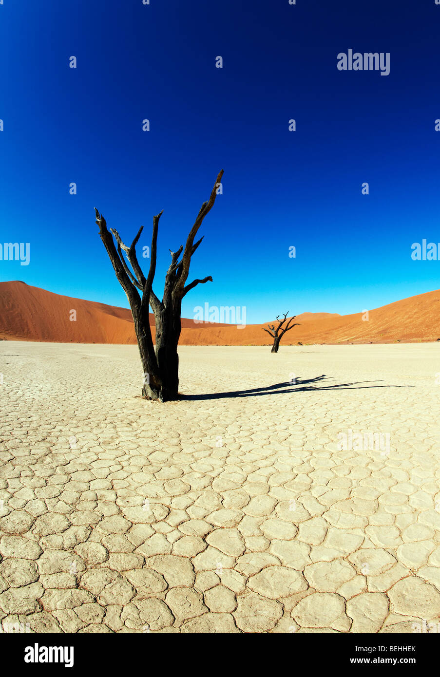 Dead Vlei Sossusvlei, Namib-Naukluft Park, Namibia Stockfoto