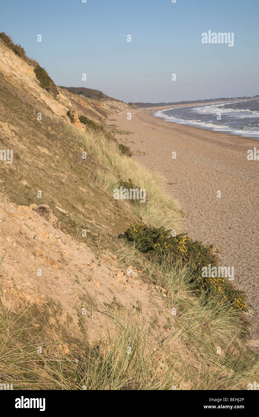 Dunwich Strand und Klippen, Nordseeküste, Suffolk, East Anglia, England Stockfoto