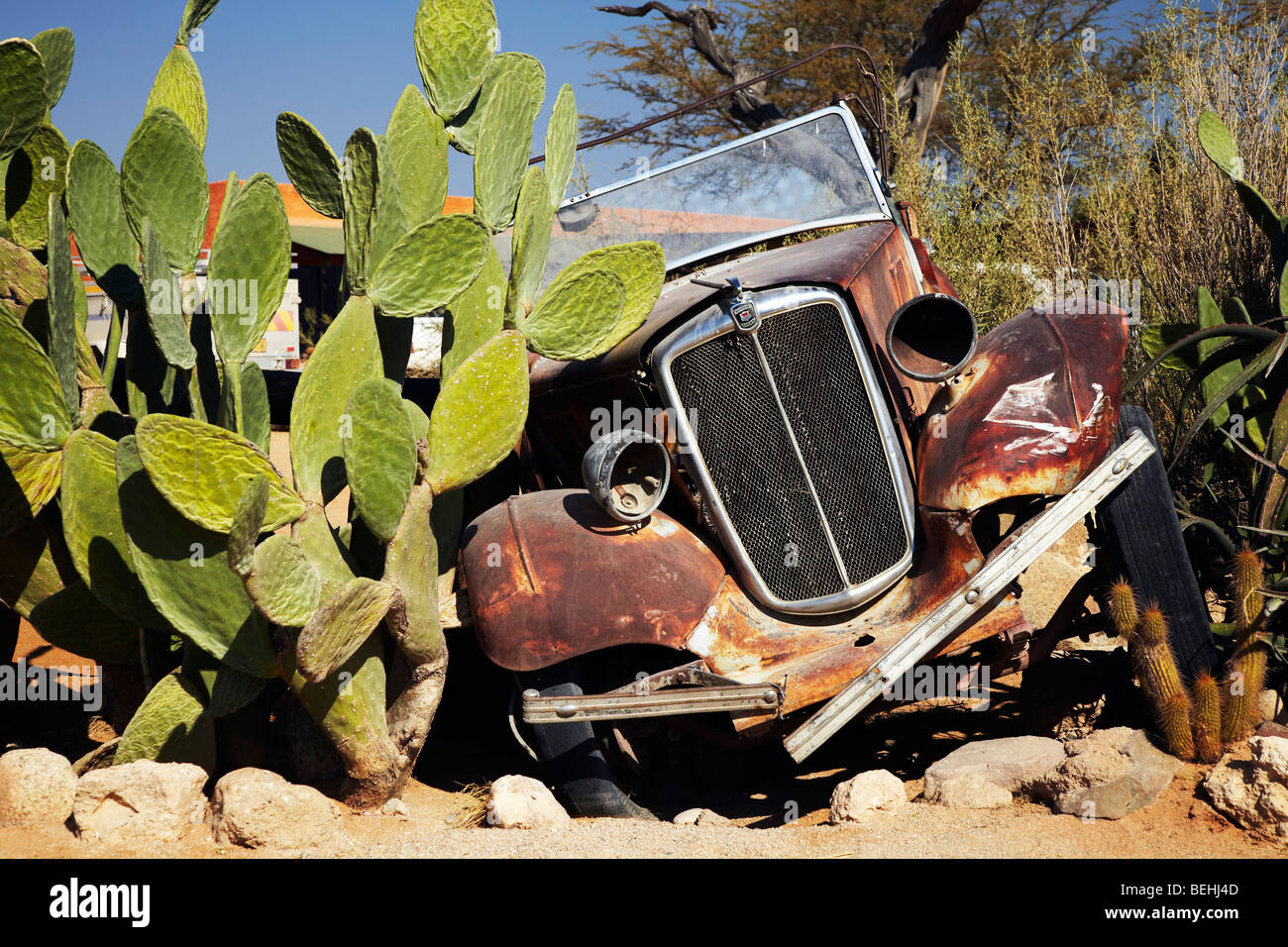 Klasse-Wagen in Kaktus, Solitaire, Namibia Stockfoto