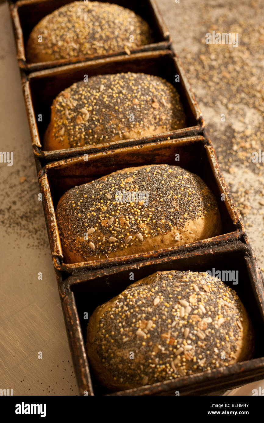 4 Brote fertig zum Backen Stockfoto