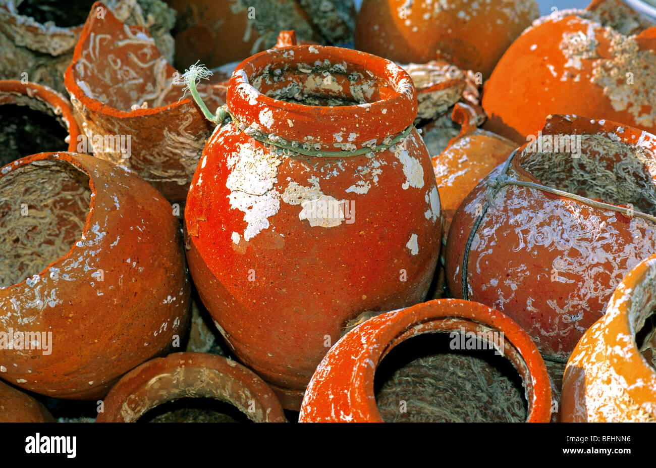 Portugal, Algarve: Traditionelle "Alcatruzes" am Hafen von Santa Luzia in Tavira. Stockfoto