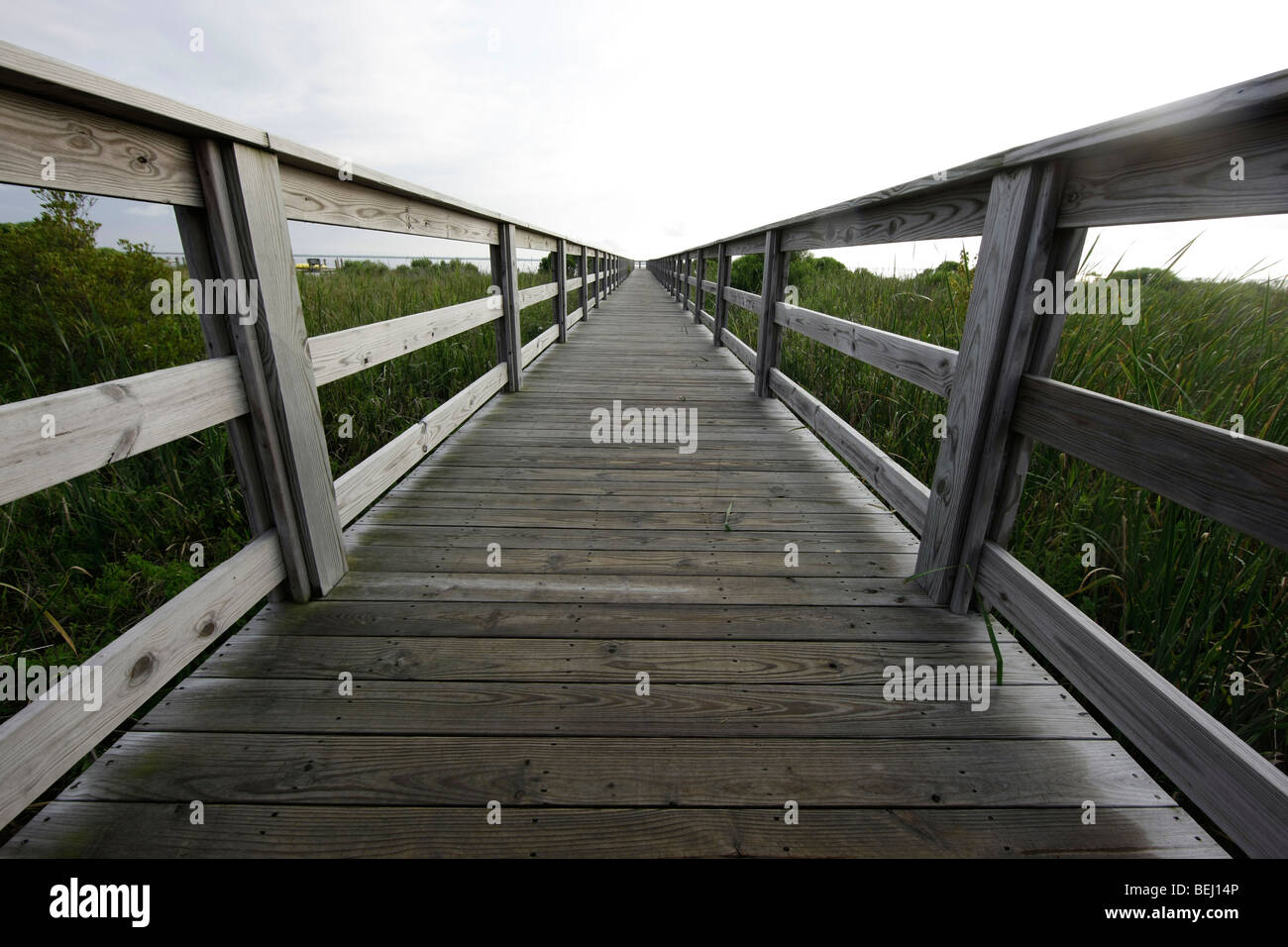 Ein Dock im Abschnitt Corolla der Outer Banks in North Carolina Stockfoto