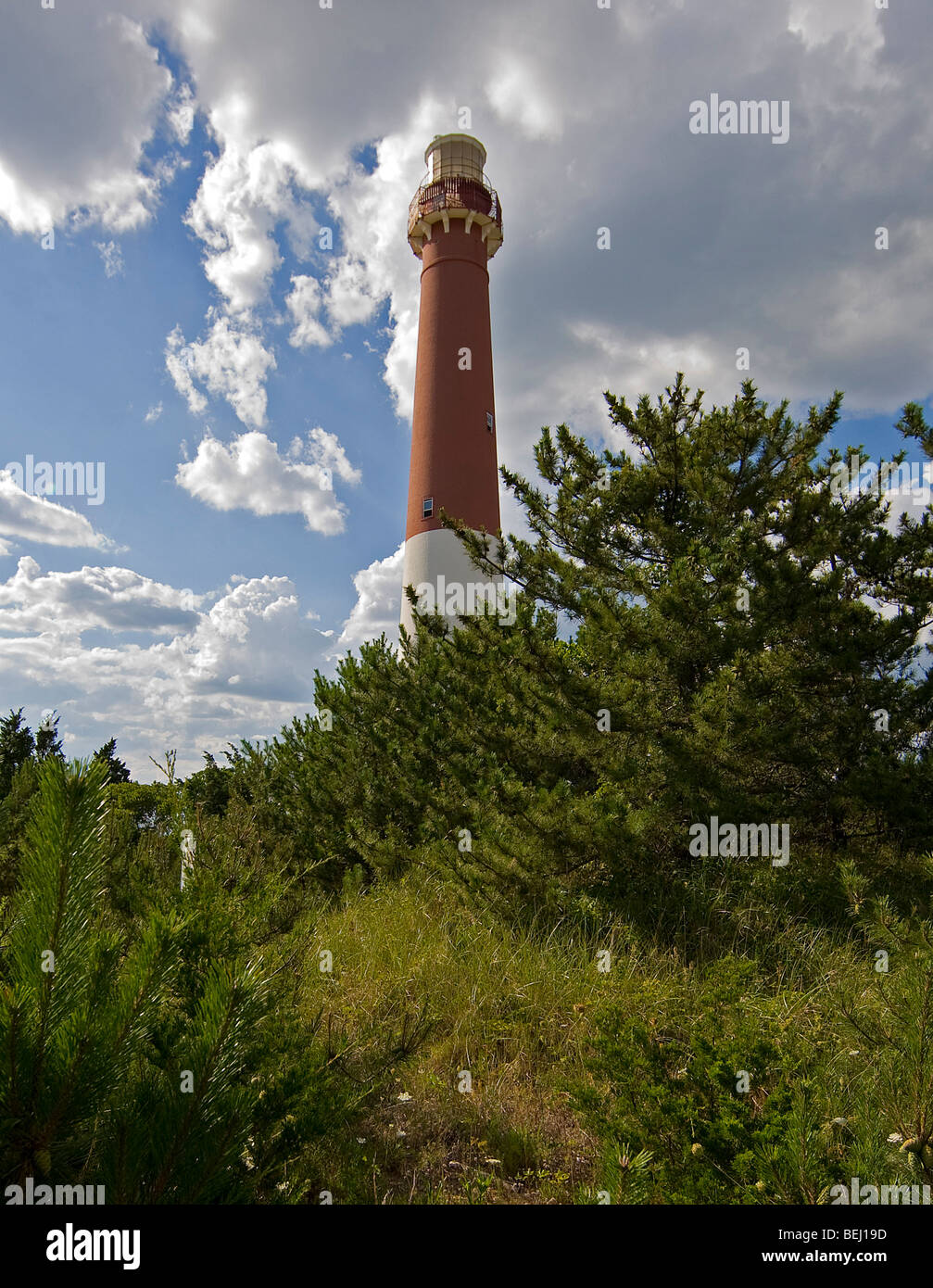 Barnegat Leuchtturm im Abschnitt Barnegat Light Long Beach Island in Ocean Township in New Jersey. Stockfoto