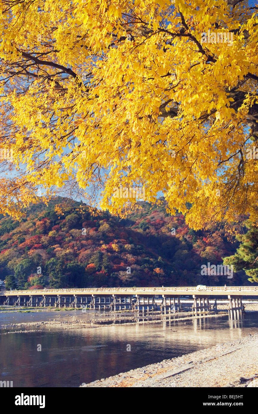 Togetsu-kyo im Herbst, Kyoto, Japan Stockfoto