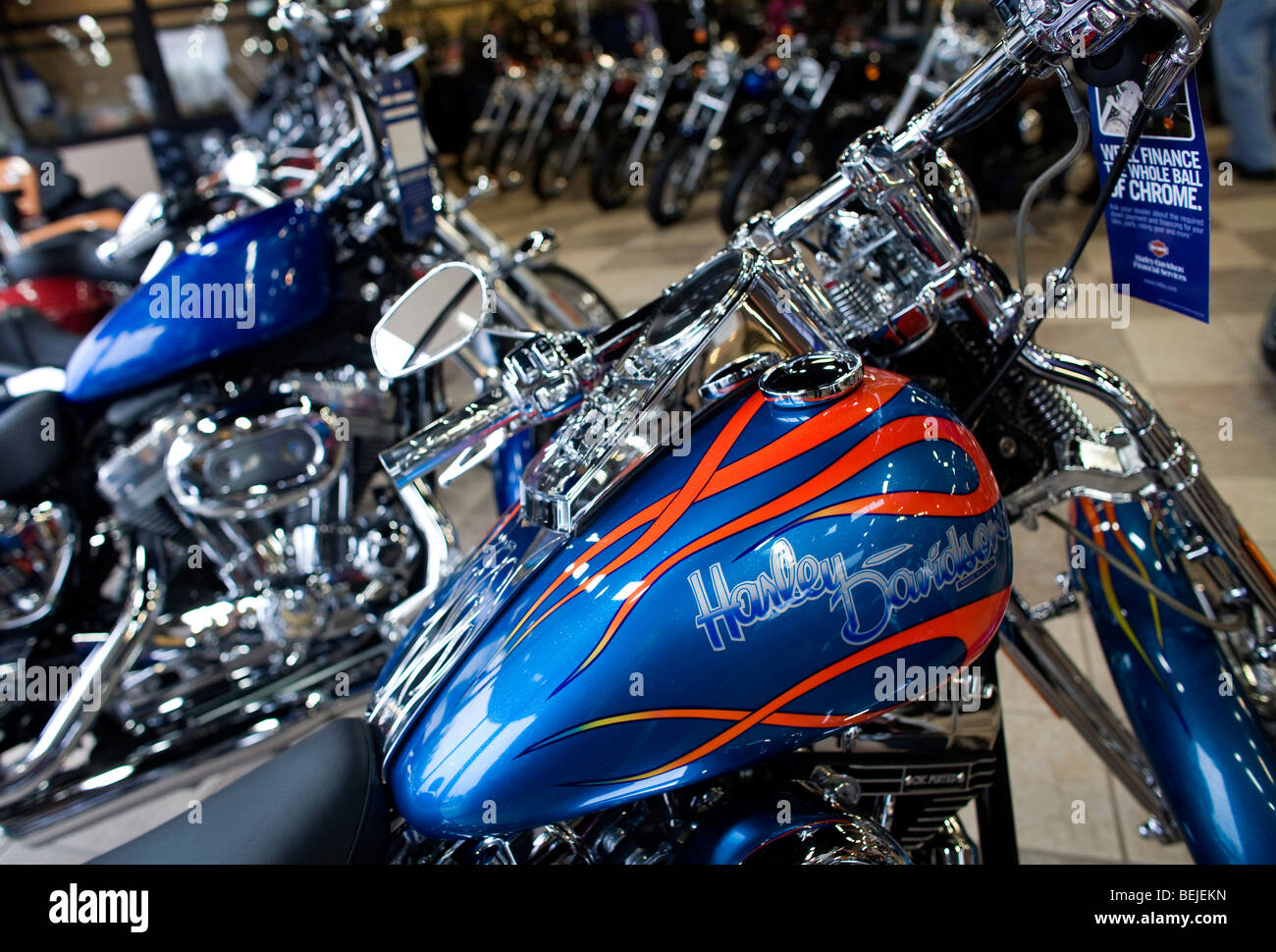 Harley-Davidson Motorräder auf dem Display an einem vorstädtischen Maryland-Vertragshändler. Stockfoto