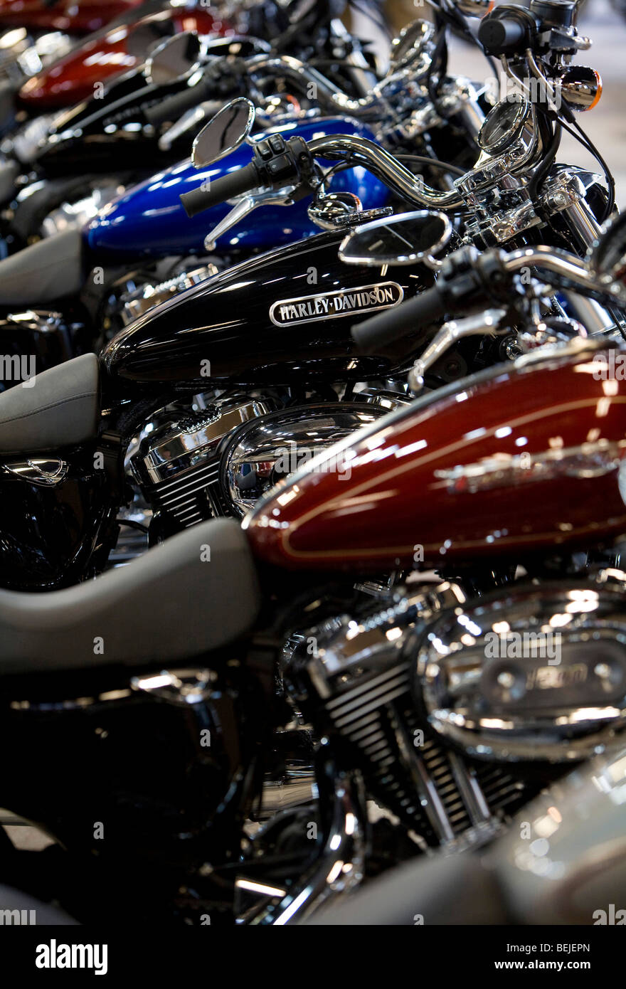 Harley-Davidson Motorräder auf dem Display an einem vorstädtischen Maryland-Vertragshändler. Stockfoto