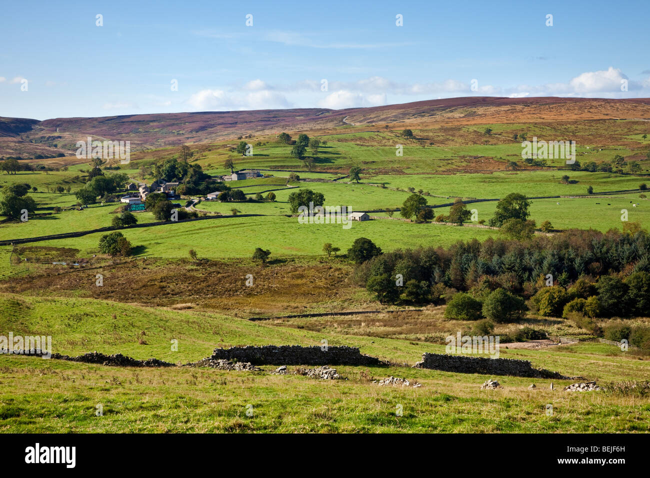 Yorkshire Dales, aus Walburn Head, North Yorkshire, England, UK Stockfoto