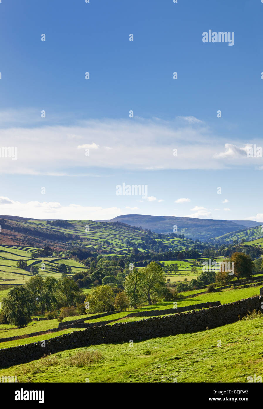 Swaledale Landschaft der Yorkshire Dales National Park, North Yorkshire, England, Großbritannien Stockfoto