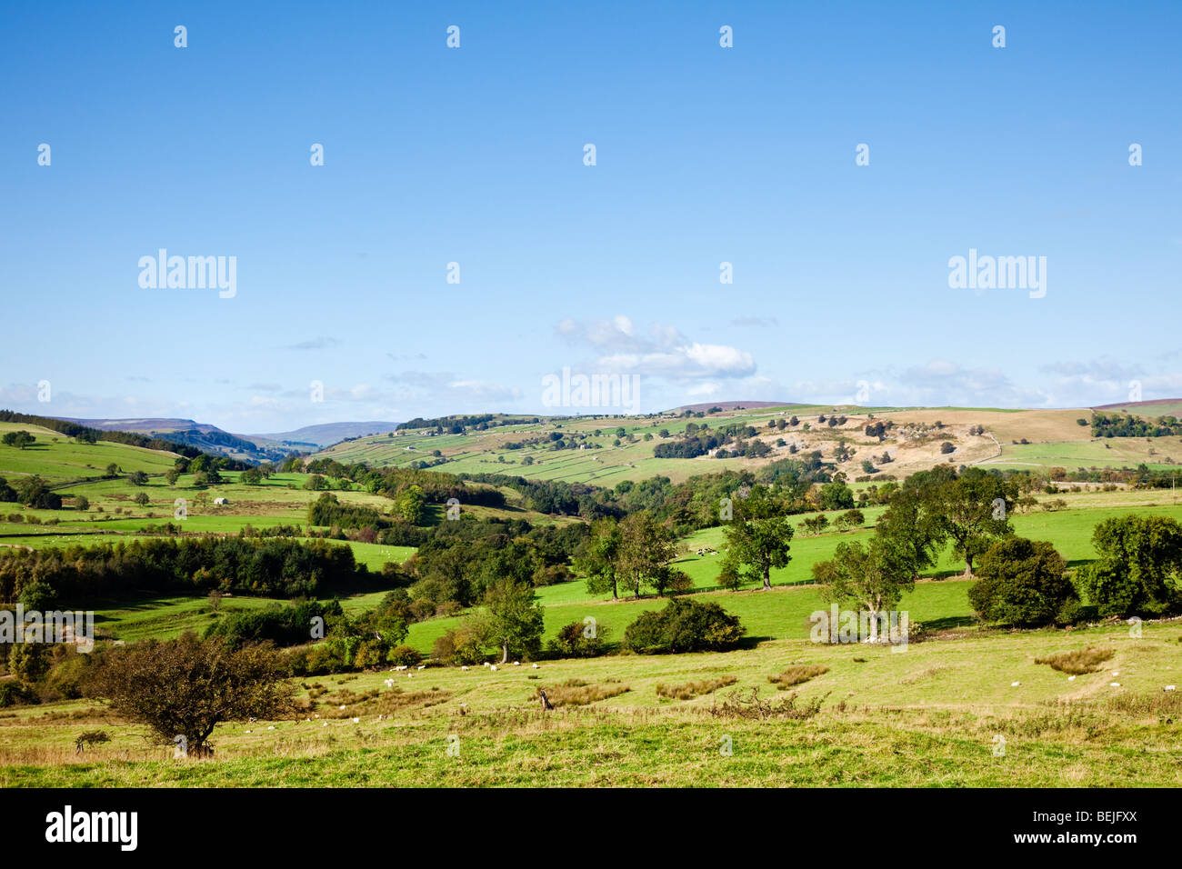Yorkshire Dales Landscape, England, Vereinigtes Königreich von Walburn Head, Richmondshire, North Yorkshire Stockfoto