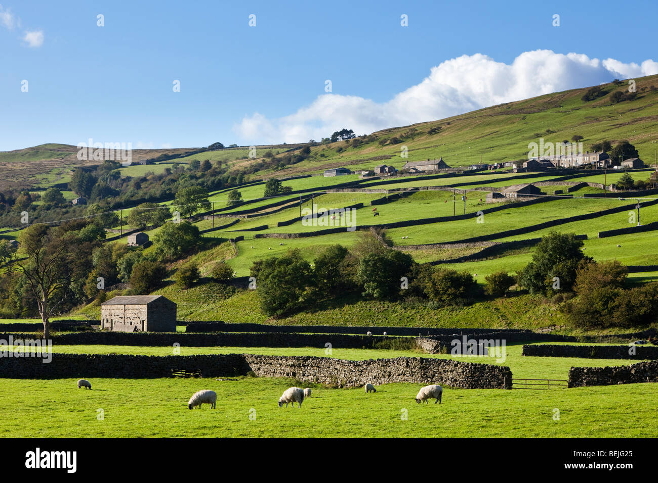 Yorkshire Dales Landschaft de Landschaft, Swaledale, North Yorkshire, England, Großbritannien Stockfoto
