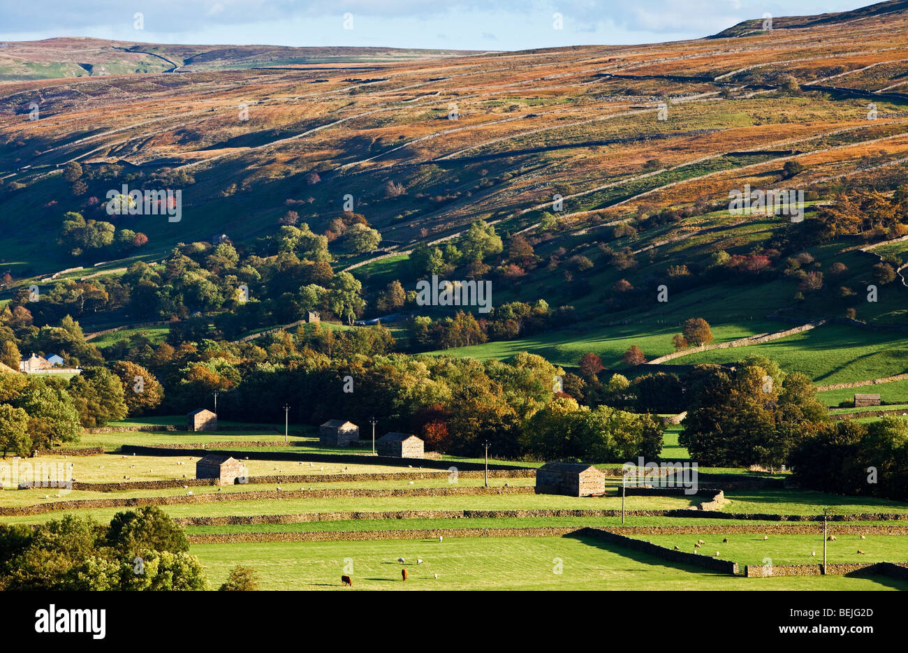Swaledale, UK, Yorkshire Dales, North Yorkshire, England im Herbst Stockfoto