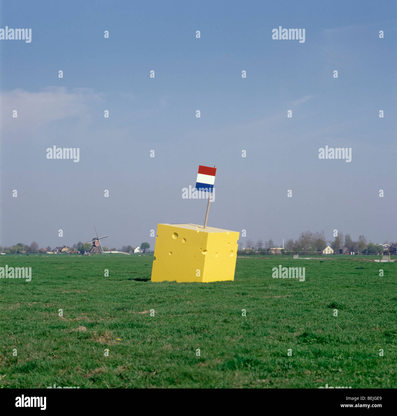 Käse, ein Stück Kunst auf der Wiese Stockfoto