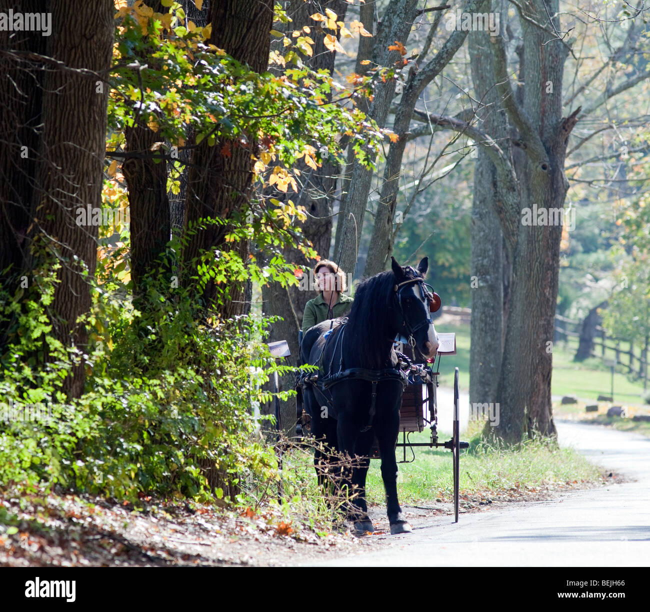 Zwei Frauen an einem Herbsttag mit herbstlichen Farben Farben in ein Pferd und Buggy fahren. Stockfoto