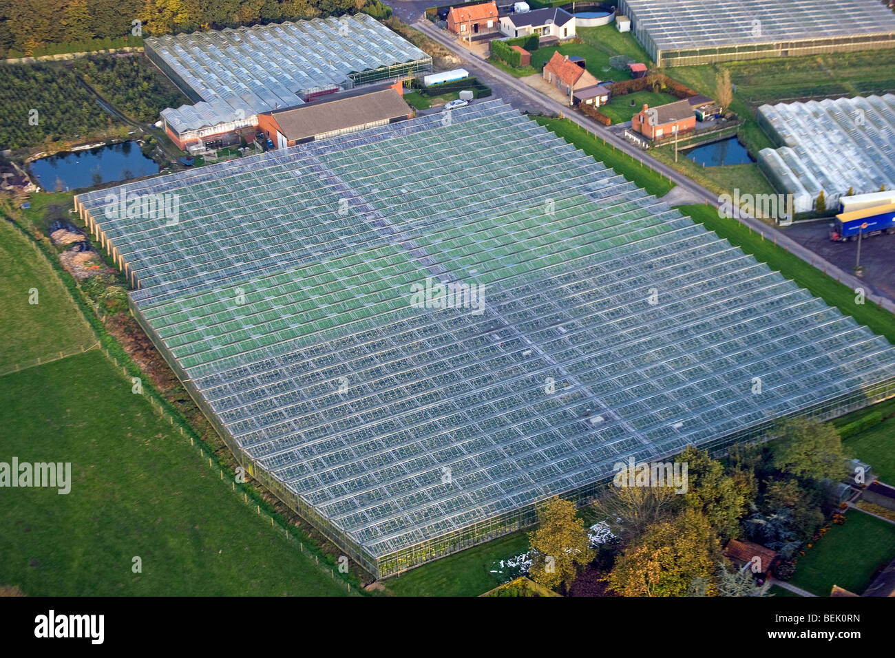 Luftaufnahme über Gärtnerei mit beheizten Gewächshäusern, Belgien Stockfoto