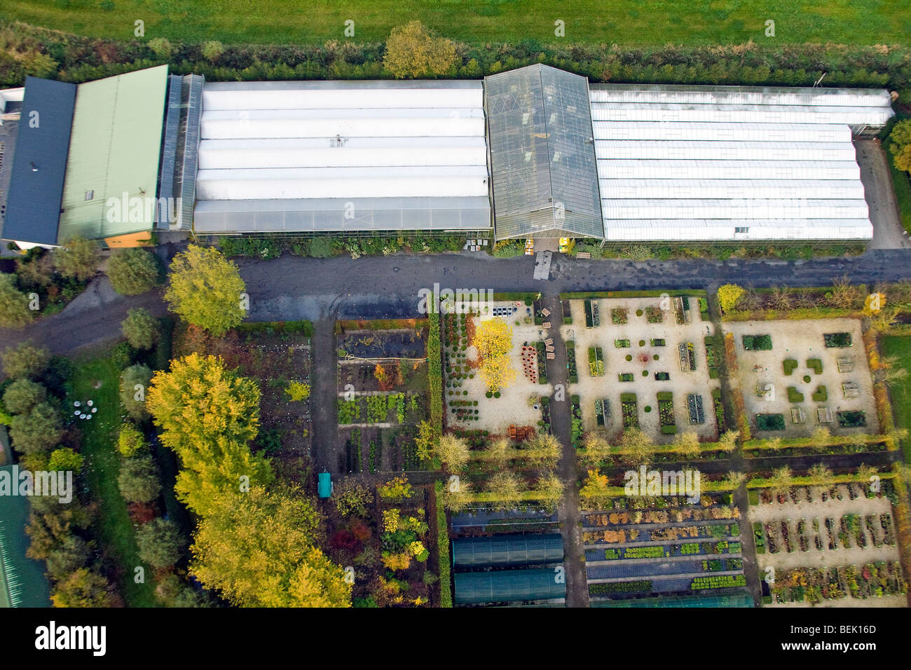 Blumengeschäft Geschäft mit Gewächshäusern für Zierpflanzen und Buschwerk, Belgien Stockfoto