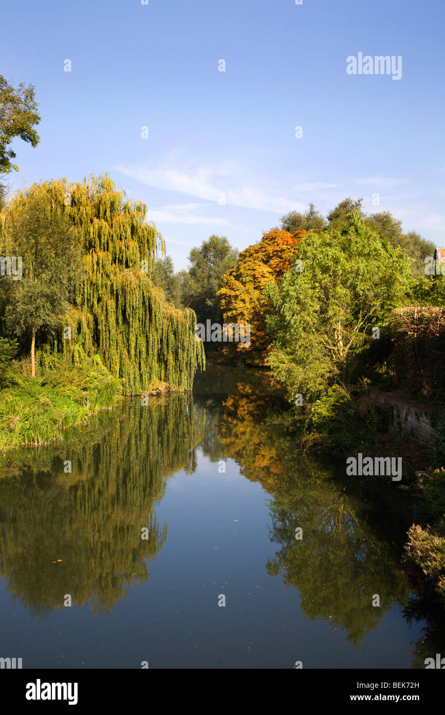 Fluss Stour Bures Suffolk England Stockfoto