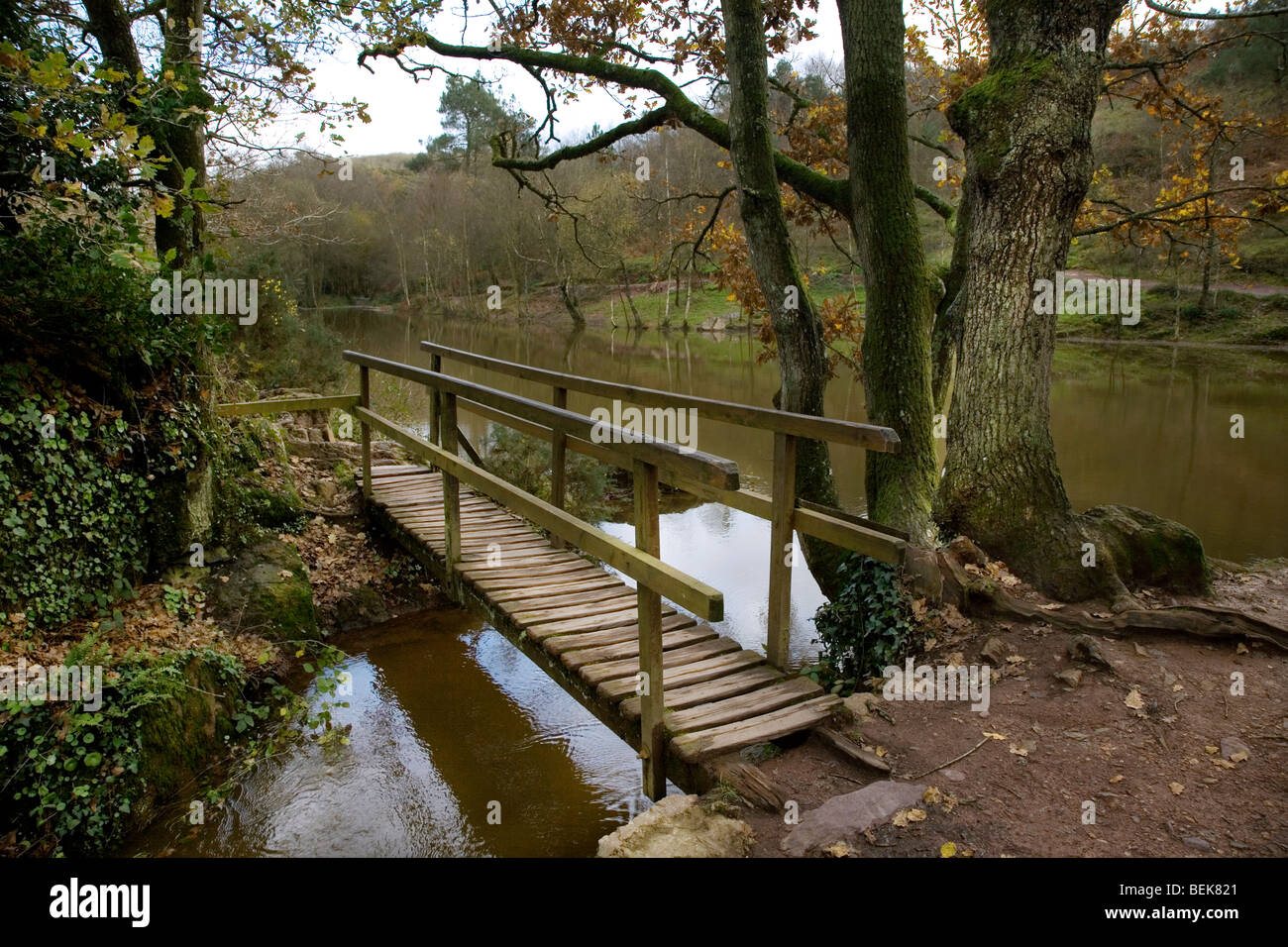 Brocéliande bei Paimpont Wald, Bretagne, Frankreich Stockfoto