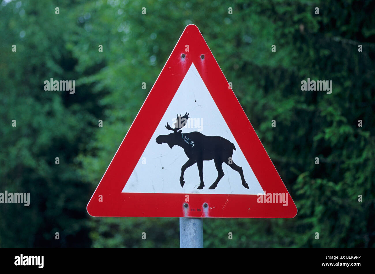 Warnzeichen für Elche (Alces Alces) die Straße überqueren, Hordaland, Norwegen Stockfoto