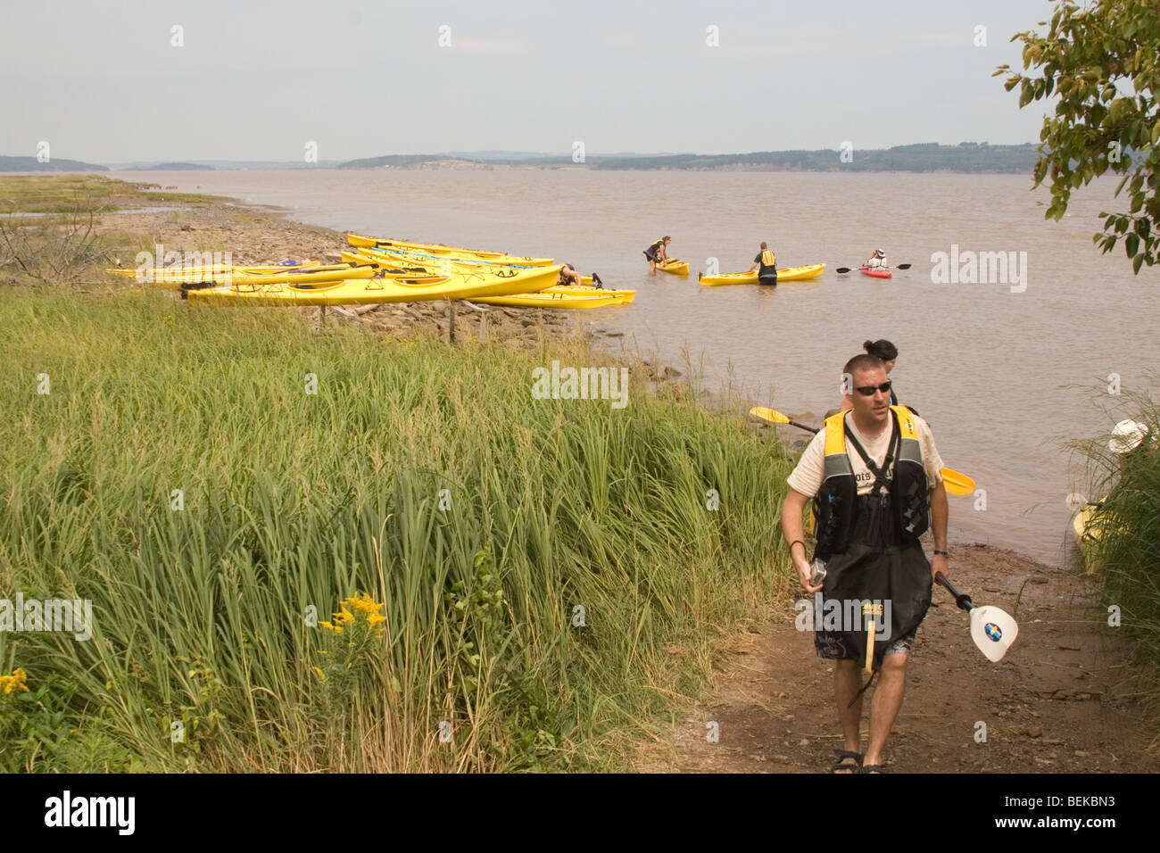 Kajakfahrer nach Rudern in der Bay Of Fundy abseits der Küste von Nova Scotia, Kanada. Stockfoto