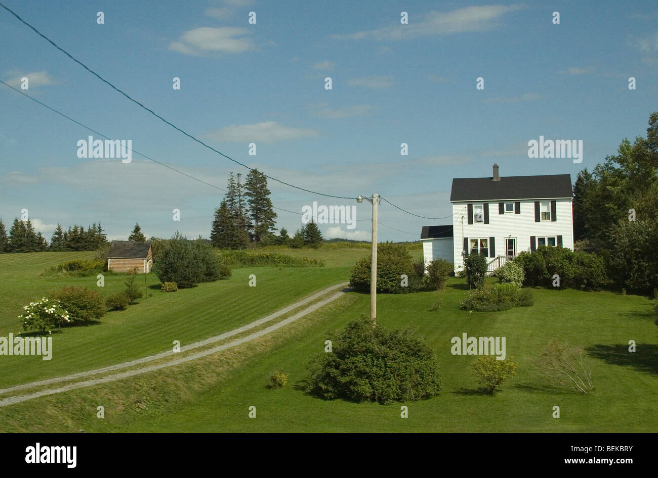 Rasen in den kanadischen Maritimes sind eine Quelle des Stolzes für Eigenheimbesitzer, selten unmowed. Stockfoto