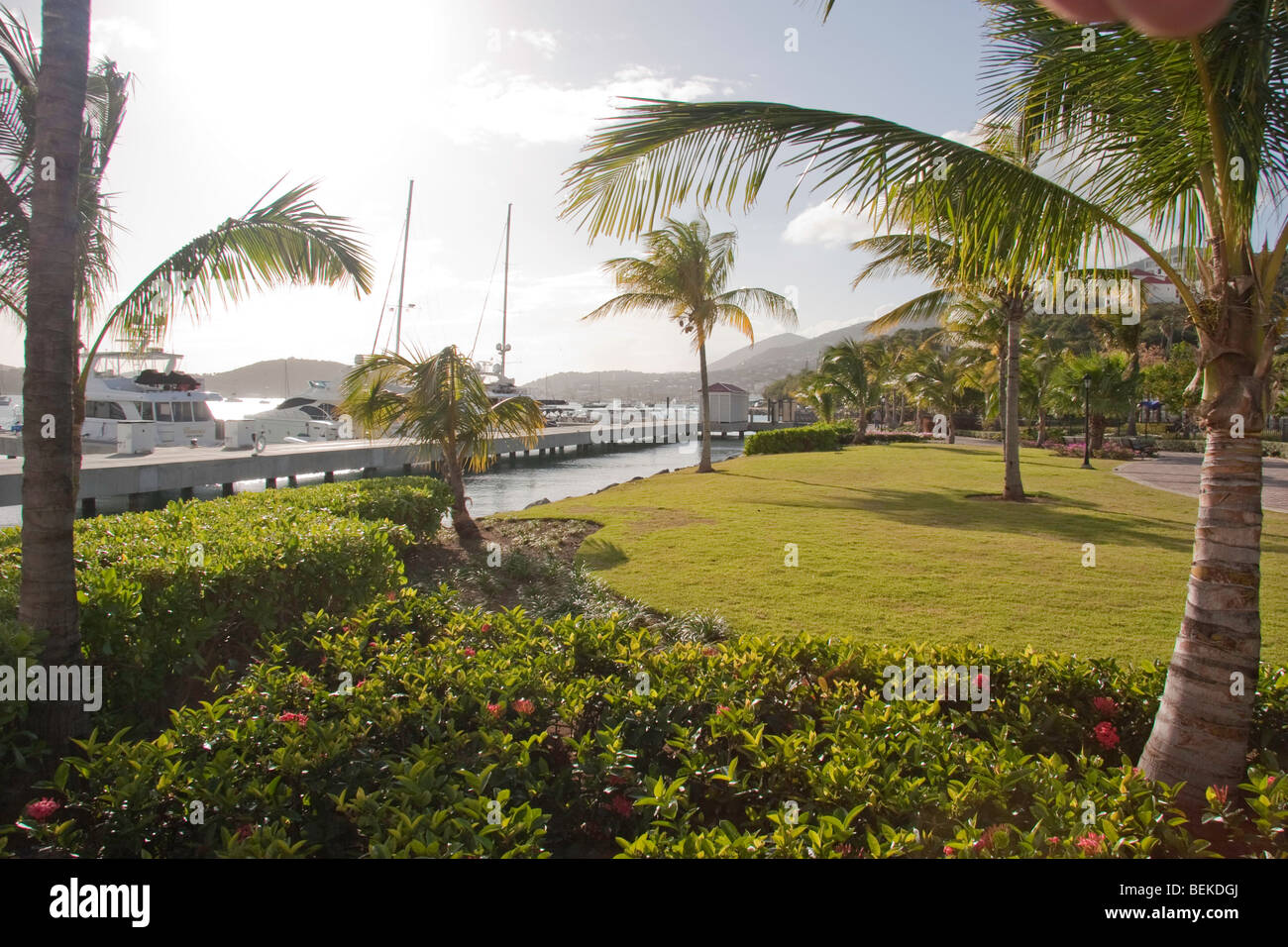 Yacht Haven Grande - Charlotte Amalie, USVI Stockfoto