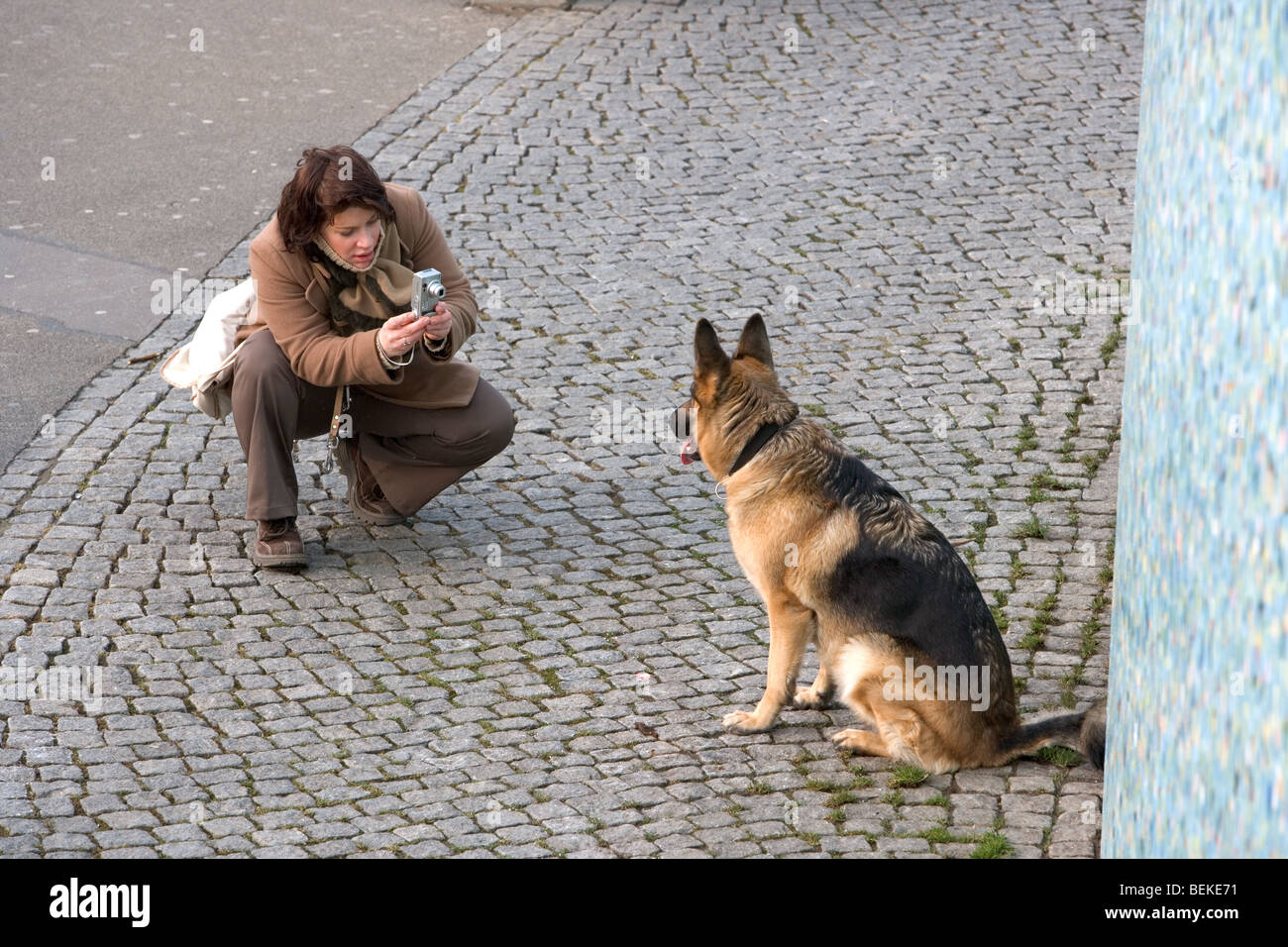 Elegant gekleidete Frau fotografieren Deutscher Schäferhund in Deutschland Stockfoto
