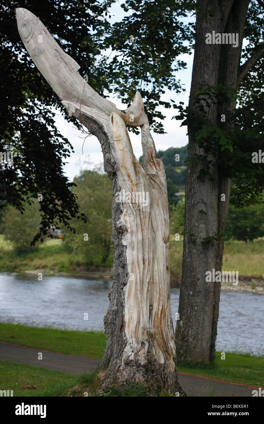 Holzschnitzerei Lachs springen in stehenden Baum Builth Wells Stockfoto